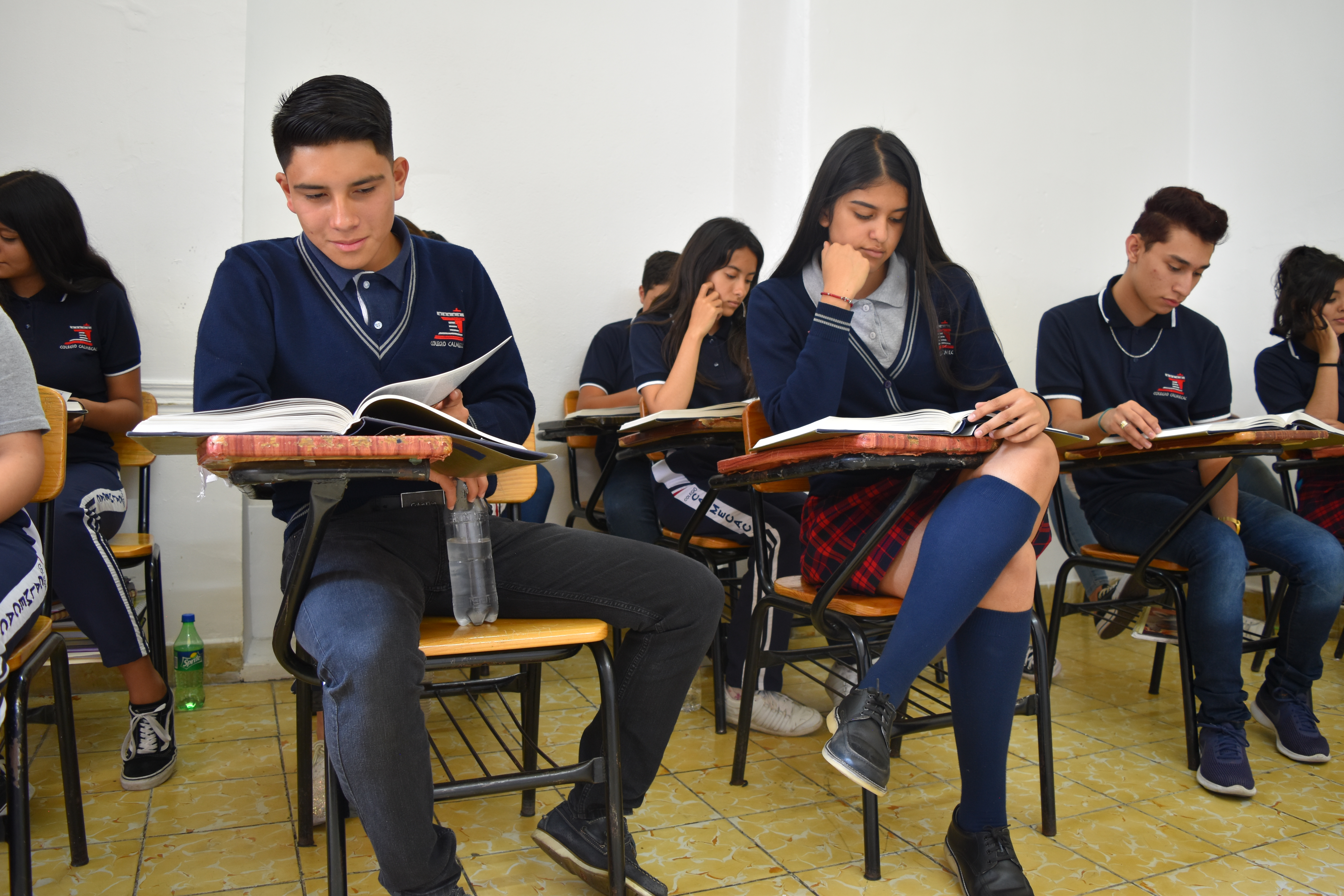 Descripción de la imagen 2